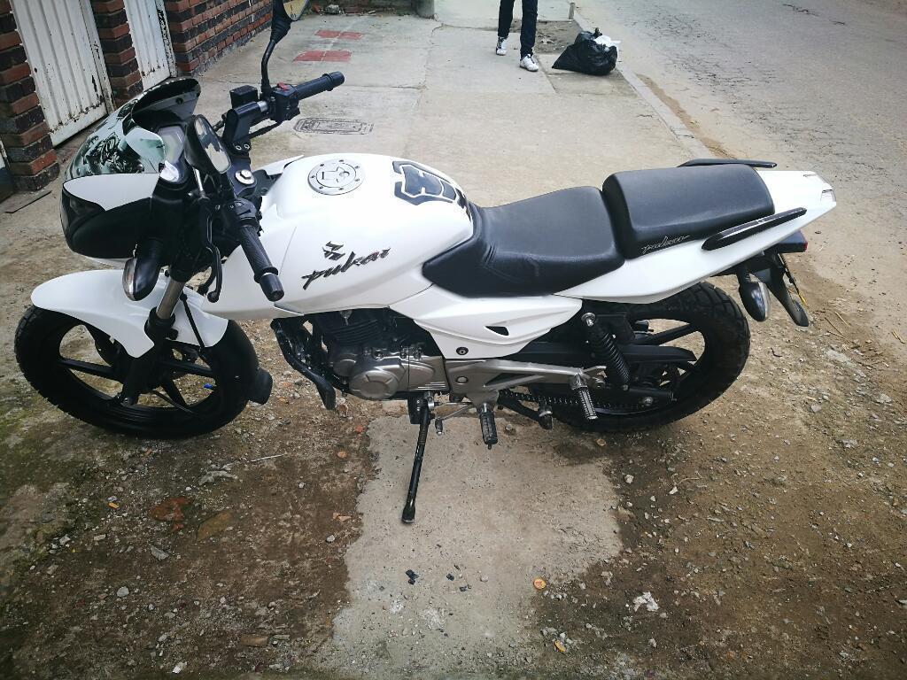 Pulsar Ug 180 2013
