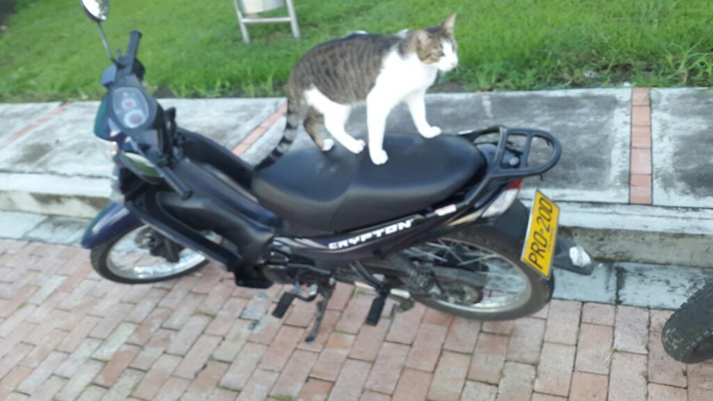 Se Vende Moto