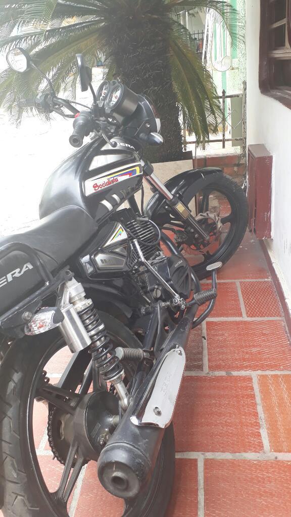 Vendo Socialista 2013