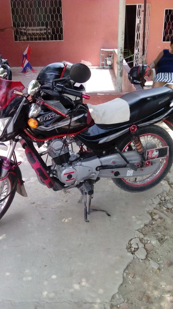 Vendo Boxer Barata Melita Al Dia