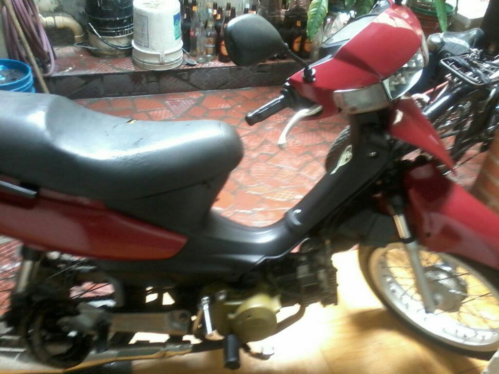 Moto Vivax