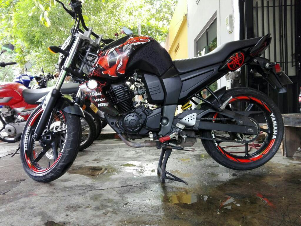 Fz 2013