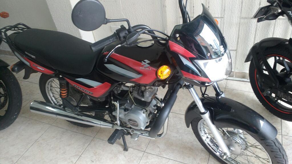 Hermosa Boxer Ct 100 , Cmo Nueva 2014