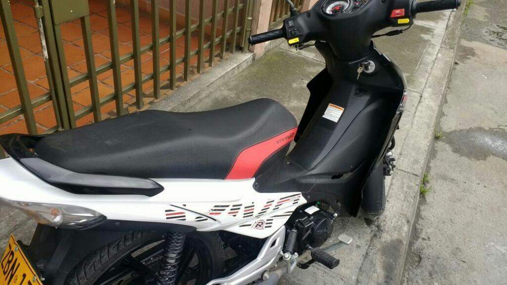 Vivar
