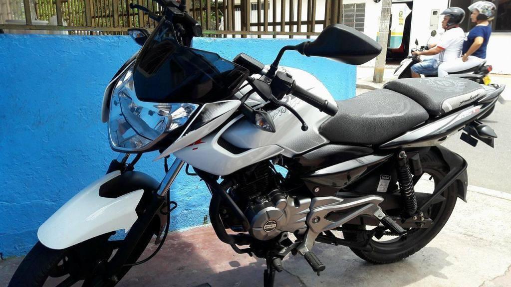 pulsar 135 ls