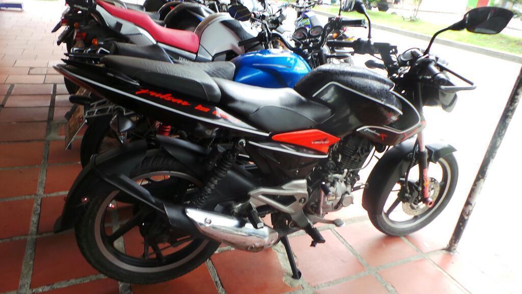 Pulsar Linda 2014