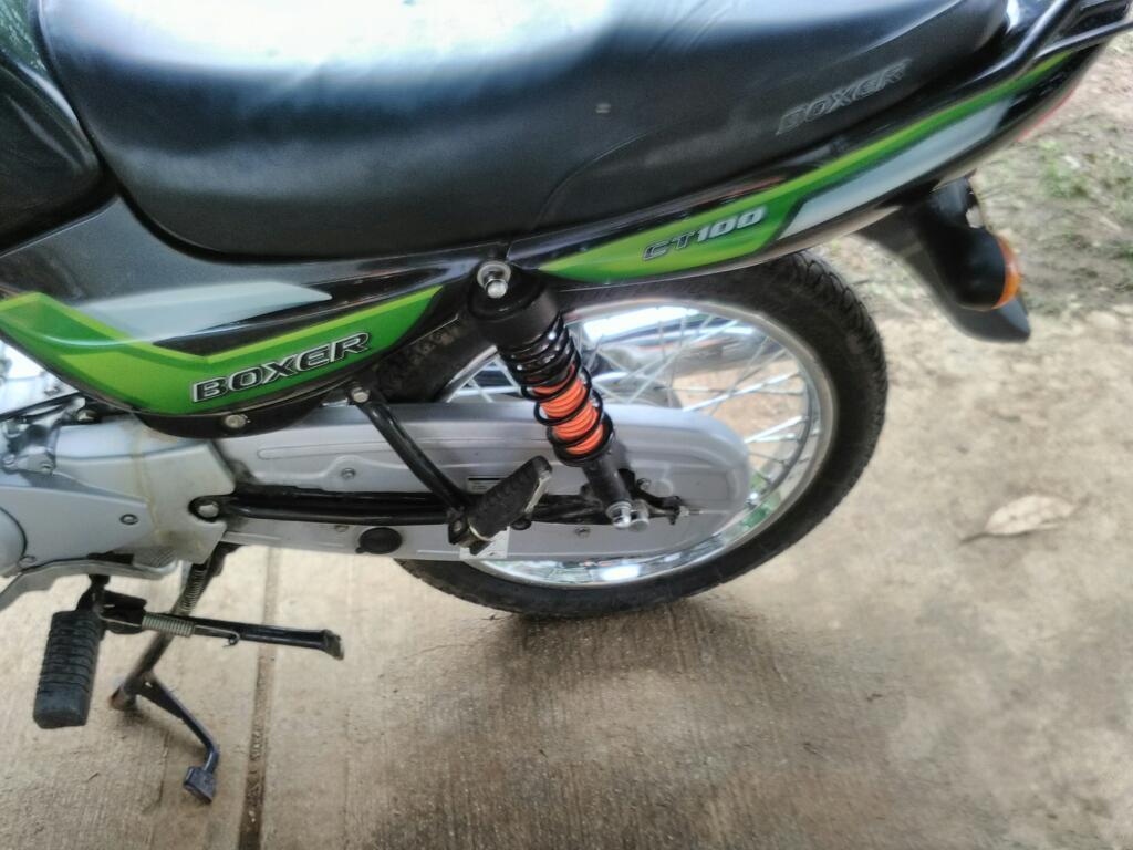 Vendo Linda Boxer Ct 100 2014