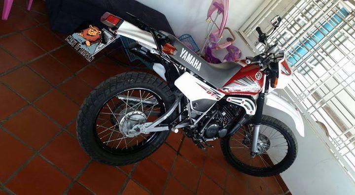 BELLO DT 2007 AL DIA