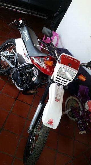 BELLO DT 2007 AL DIA