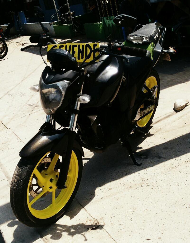 Fz 2010