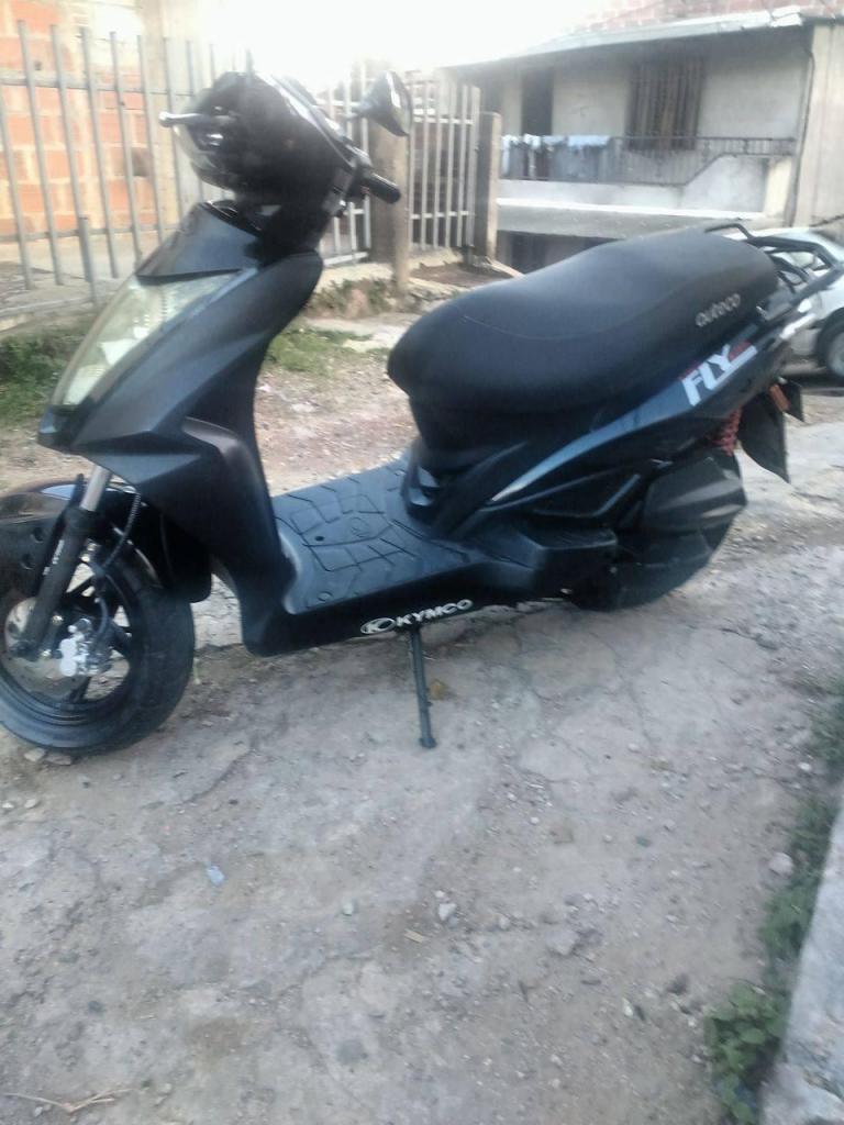 SE VENDE AGILITY FLY