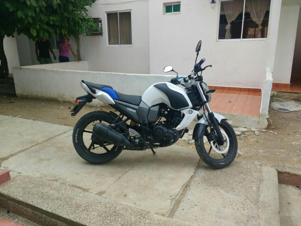 Fz 2013