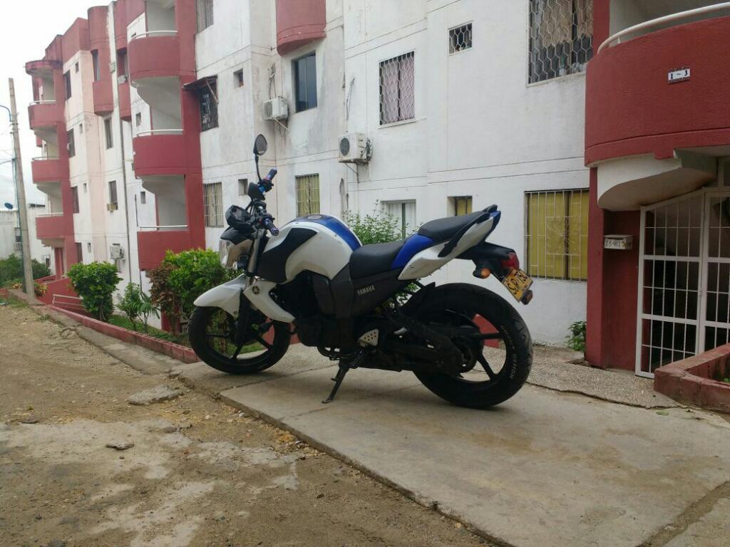 Fz 2013