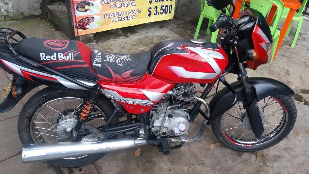 Boxer Ct 2008 Al Dia