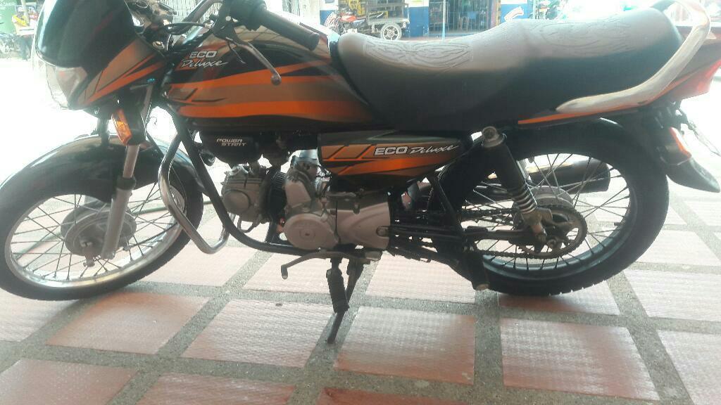 Eco de Luxe Linda 2013