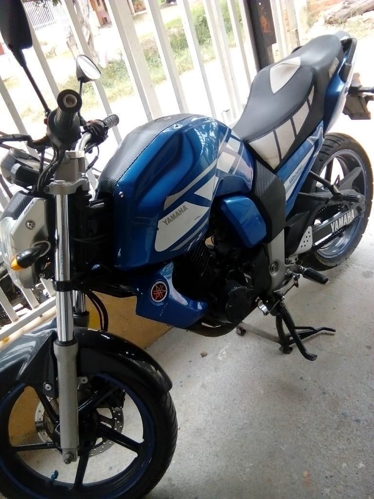 Fz 2011