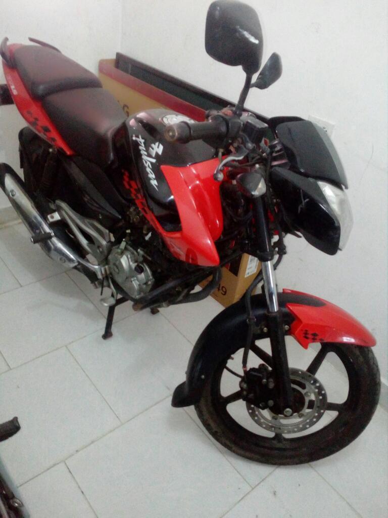 Linda Pulsar 135 R 2013