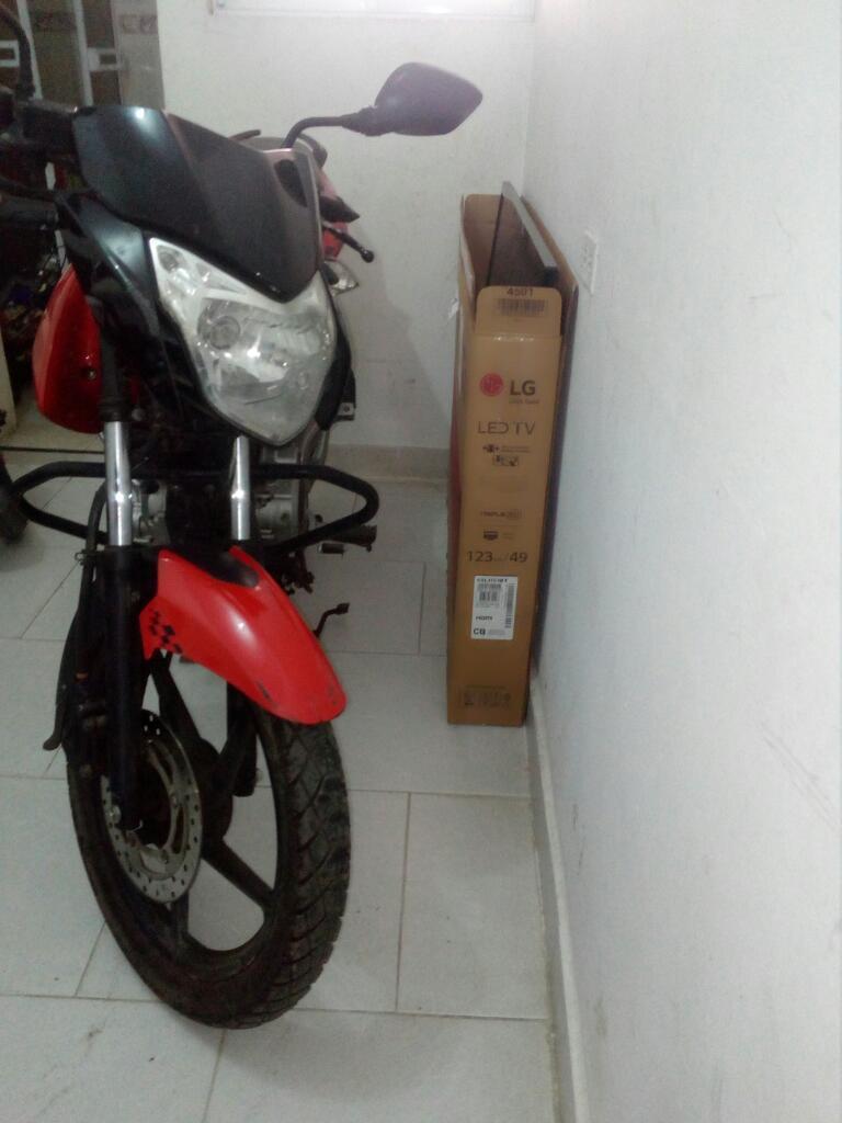 Linda Pulsar 135 R 2013