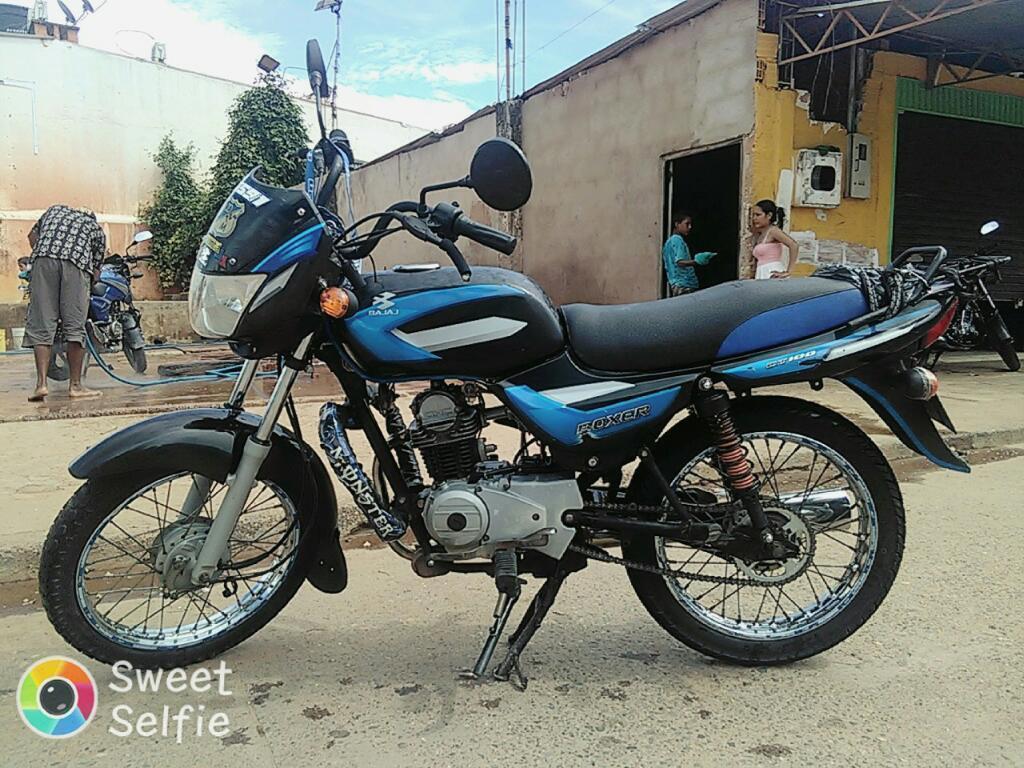 Moto Boxer 2014