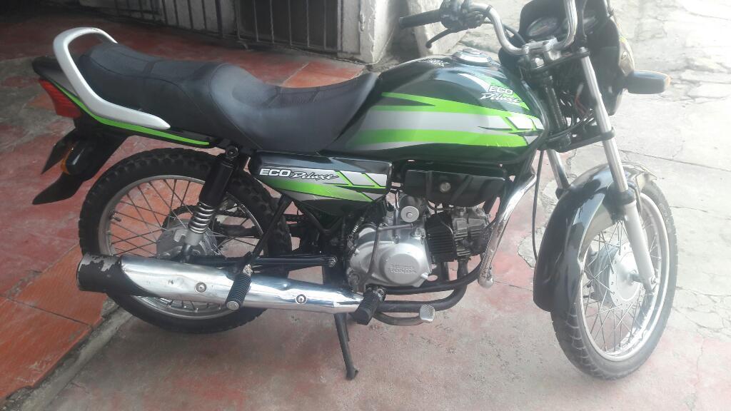 Eco de Luxe Linda 2013