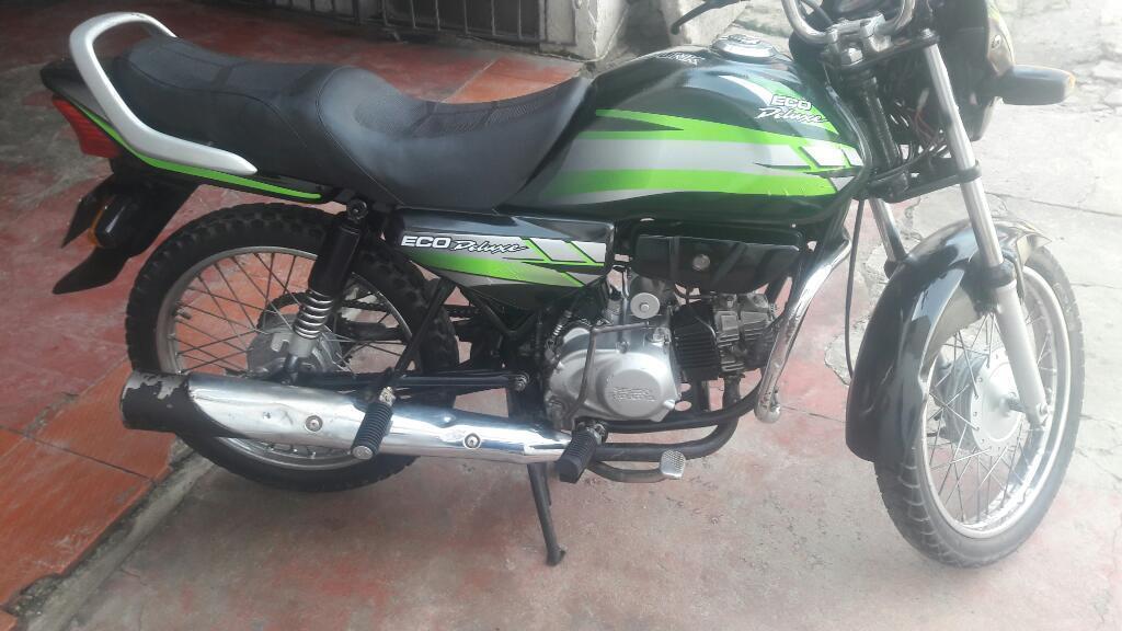 Eco de Luxe Linda 2013