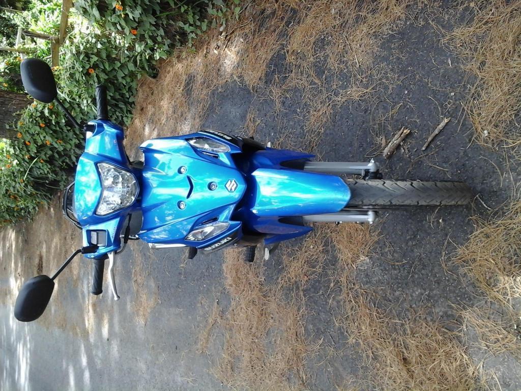 Se vende vivaR115