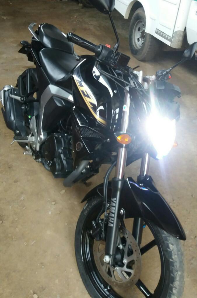 Permuto Fz 2016