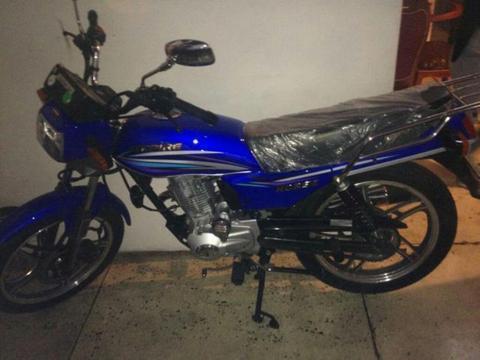 Horse Venezolano Nuevo