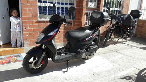 Vendo Akt Dinamic Mod2014