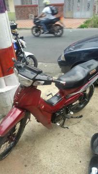 Vendo Criston Modelo 2001