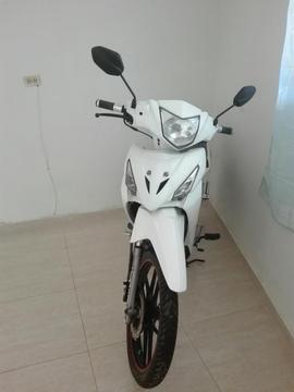 Flex 125