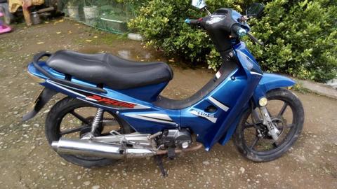 Vendo Akt 2013