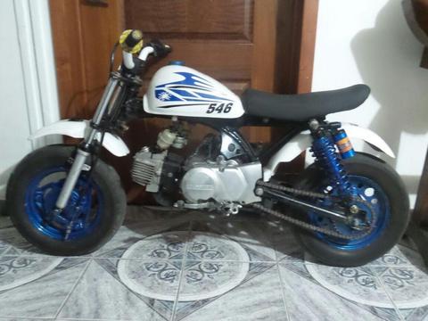 Honda Z50cc Cafe Race