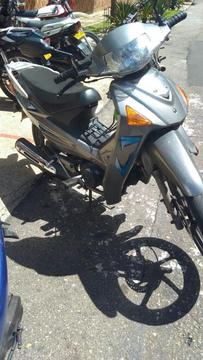 Vendo Sigma 2016