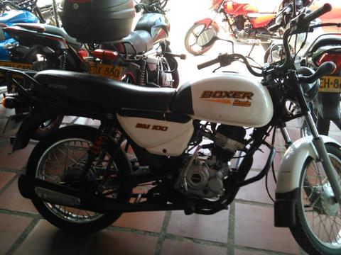 Boxer Bm 100 2013