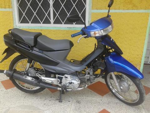 Vivax 115. Modelo 2010