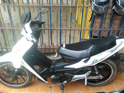 Akt Flex 2013 Al Dia, Toda Funcional