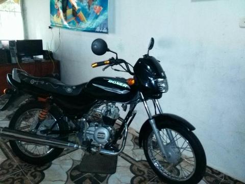 Vendo Hermosa Boxer 2016