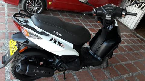 Agility Fly Al Día 2016