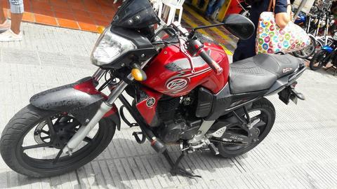 Fz 2010 Bonita