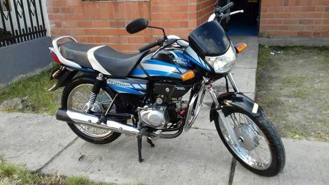 Eco de Luz Buen Estado Papeles Al Dia