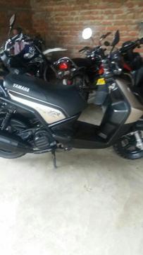 Biwis en Buen Estado 2013