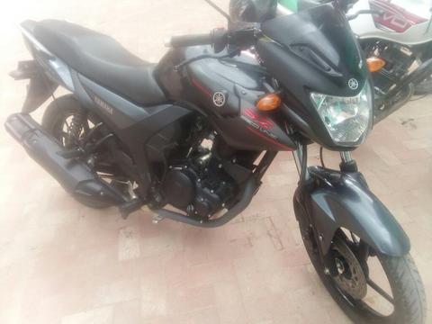 Szr 150 Bella Seguro Nuevo