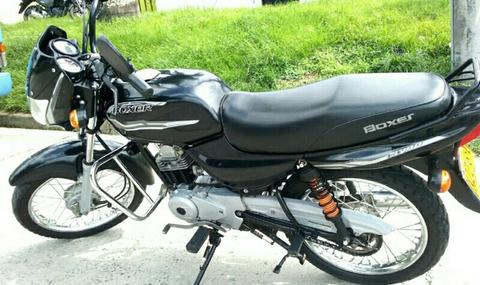 Hermosa Boxer 2016 Papeles Recientes