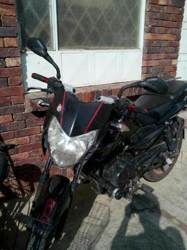Pulsar 135