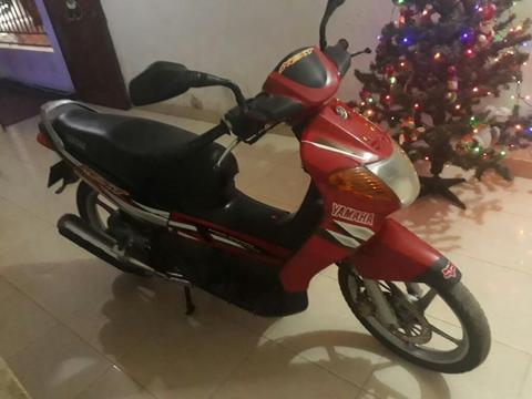 Vendo Nexf 2008