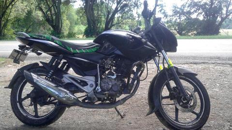 pulsar 135