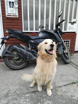 Apache 200 perfecto estado 2017