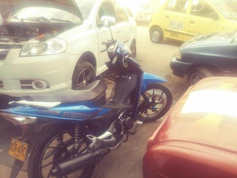 Gangaso Akt Flez 2013