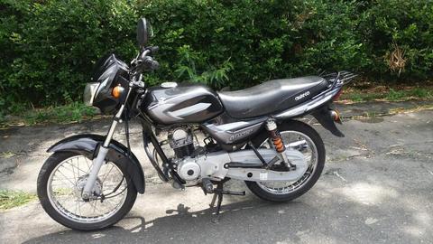 Hermosa Boxer Modelo 2014